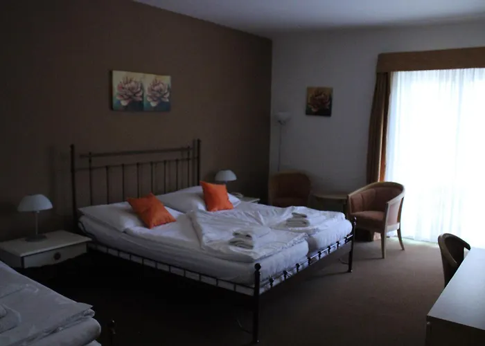Patriot Hotel 4*