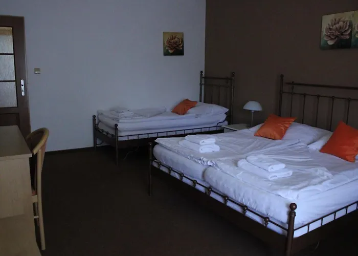 Patriot 4* Litoměřice